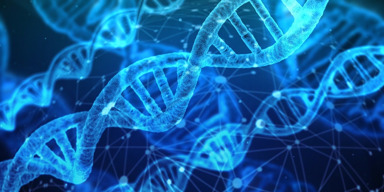 Hacker veröffentlicht weitere Millionen 23andMe genetischer Datenprofile