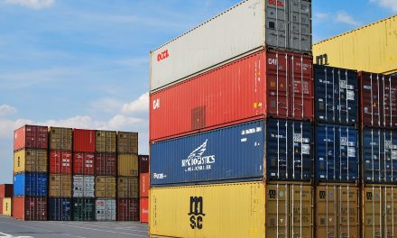 Cyberangriff auf DP World blockiert Tausende von Containern in Häfen“