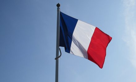 Französische Regierungswebseiten durch schweren DDoS-Angriff gestört